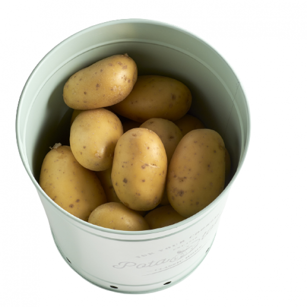 ZELLER Potatoes - pojemnik na ziemniaki metalowy z pokrywą 