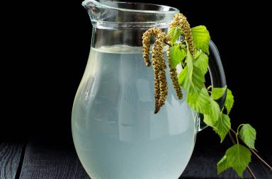Dlaczego warto pić sok z brzozy