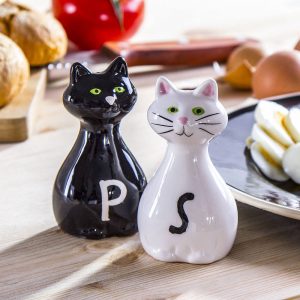 Ceramiczna solniczka i pieprzniczka Koty
