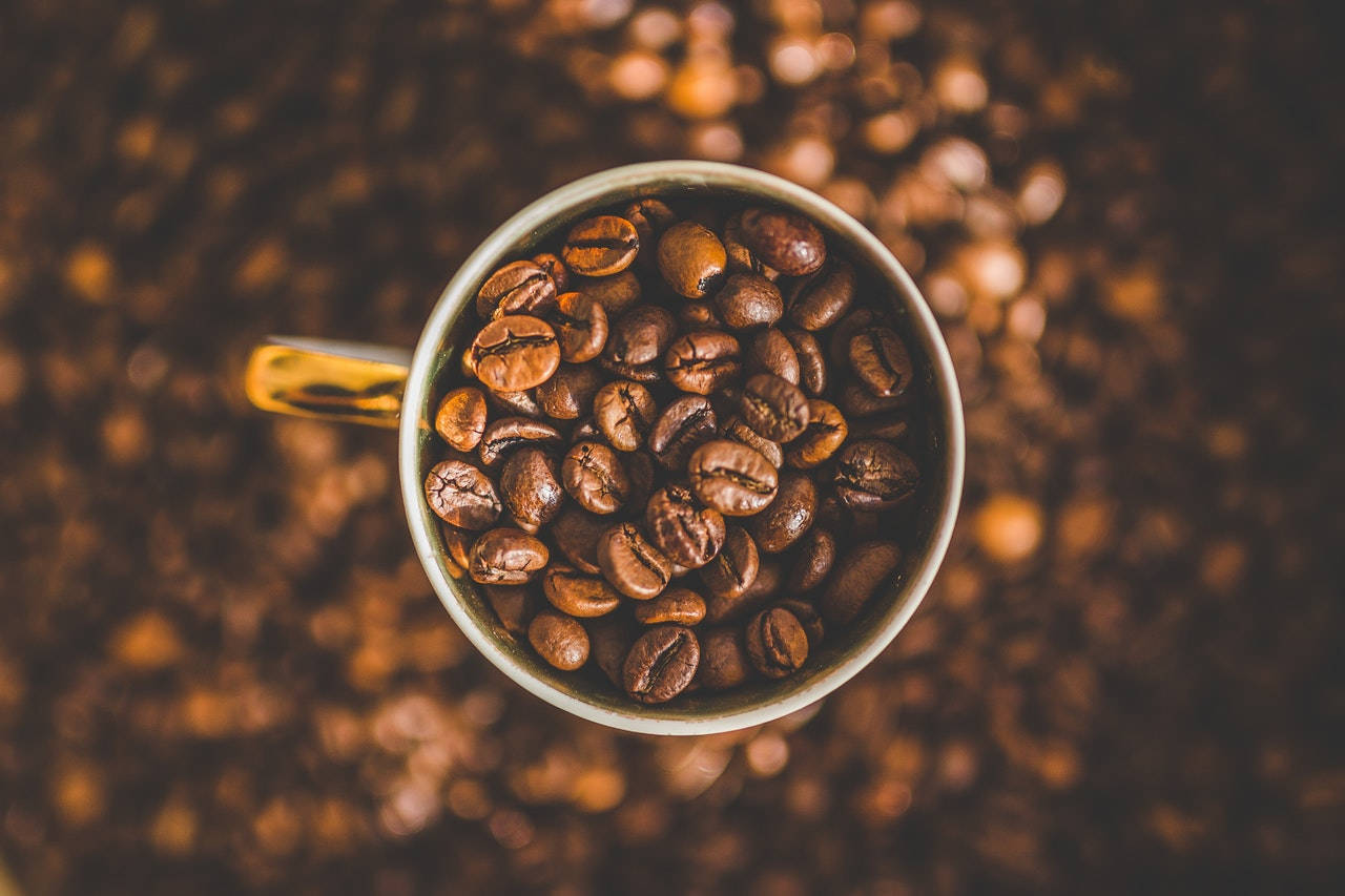 Jak przechowywać kawę ziarnistą i mieloną, by zachować jej smak i aromat?