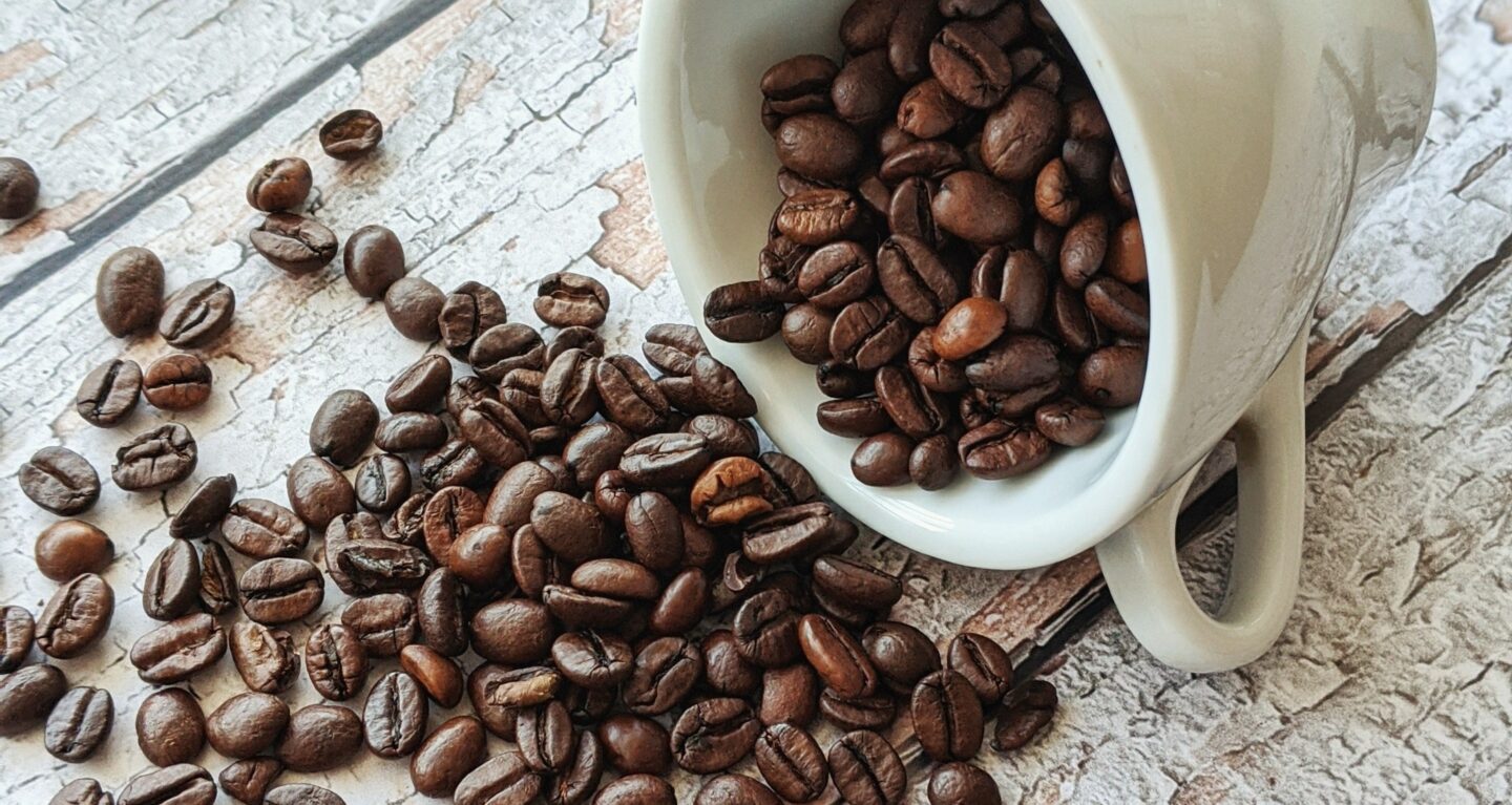 Kawa arabika i robusta – co warto o nich wiedzieć?