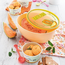 Pojemnik na melona plastikowy SNIPS FRESH SAVER ŻÓŁTY 2 l