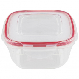 Pojemnik na żywność z plastikowy z pokrywką FLORINA FRESH BOX 0,6 l