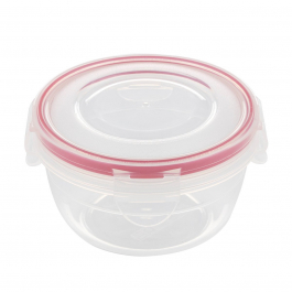 Pojemnik na żywność plastikowy z pokrywką FLORNIA FRESH BOX 0,25 l