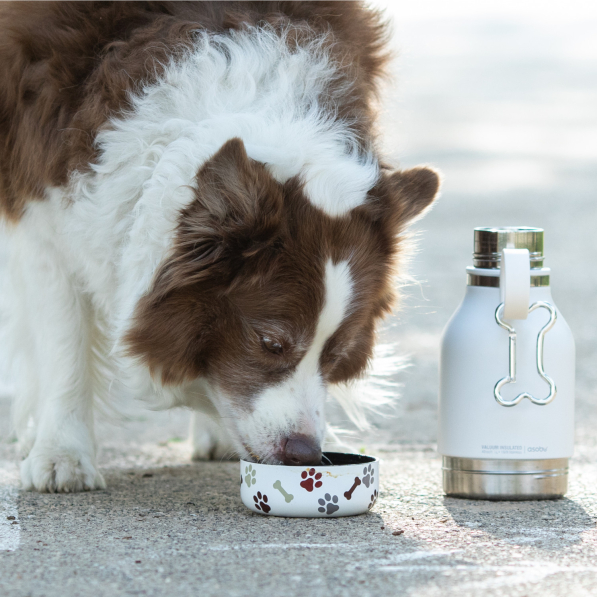 ASOBU Dog Bowl 0,975 l - butelka na wodę termiczna ze stali nierdzewnej z miską dla psa