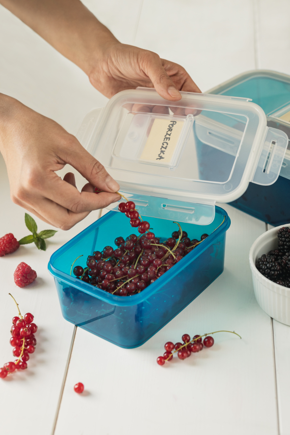 BRANQ QLock 1 l niebieski - pojemnik na żywność plastikowy