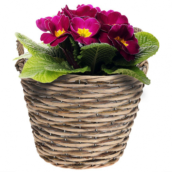 Doniczka / Osłonka na kwiaty wiklinowa FLOWER POT S 22 cm
