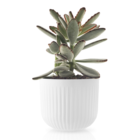 EVA TRIO Legio Nova 13 cm - doniczka / osłonka na kwiaty porcelanowa