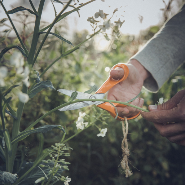 FISKARS Classic Garden Scissors 18 cm pomarańczowe - nożyce ogrodowe do kwiatów ze stali nierdzewnej