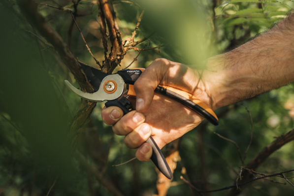 FISKARS Solid Pruner P341 czarny - sekator ogrodowy nożycowy stalowy