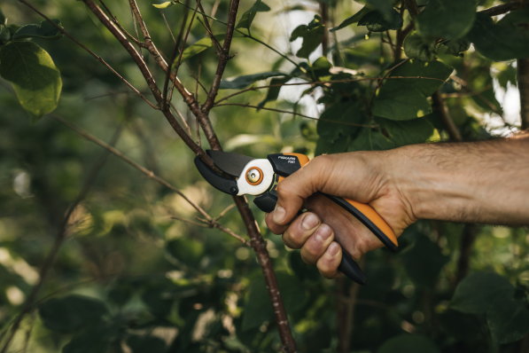 FISKARS Solid Pruner P361 czarny - sekator ogrodowy kowadełkowy stalowy