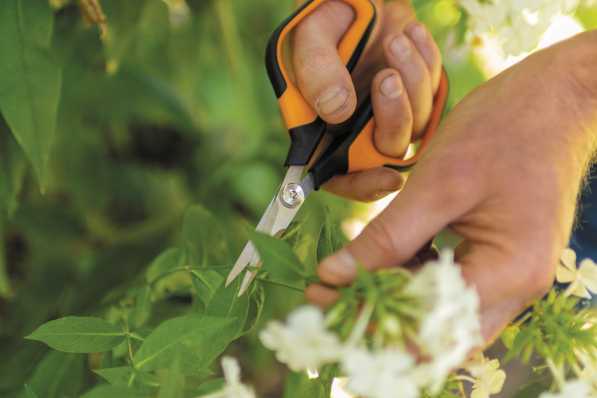 FISKARS Solid Shears SP15 pomarańczowo-czarne - nożyczki ogrodowe do ziół i kwiatów stalowe