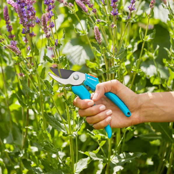 GARDENA Classic turkusowy - sekator ogrodowy nożycowy