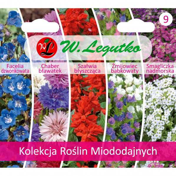 Nasiona kwiatów W. LEGUTKO KOLEKCJA ROŚLIN MIODODAJNYCH 1,9 g