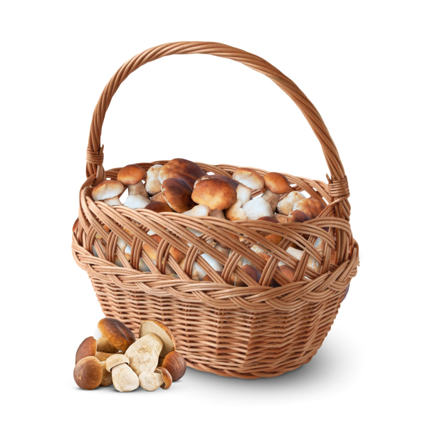 Koszyk wiklinowy na grzyby WNUK 34 cm