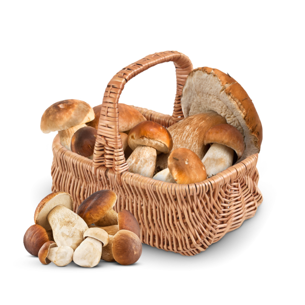 Koszyk wiklinowy na grzyby WNUK 34 cm