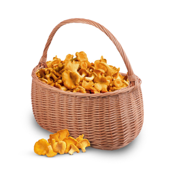 Koszyk wiklinowy na grzyby WNUK 40 cm