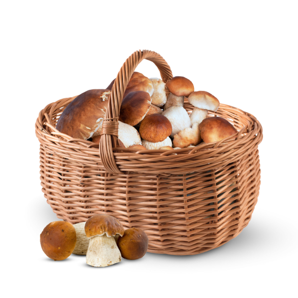 Koszyk wiklinowy na grzyby WNUK 45 cm