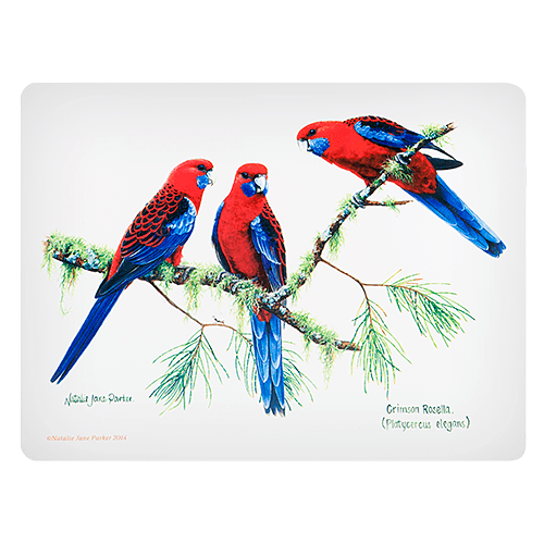 Mata stołowa / Podkładka na stół polipropylenowa ASHDENE PTAKI AUSTRALII ROSELLA BIAŁA 40 x 30 cm