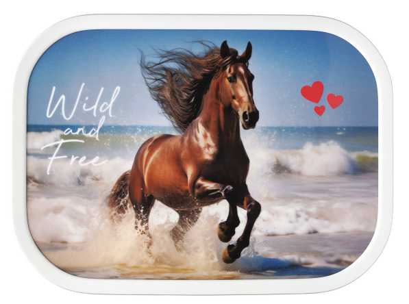 MEPAL Campus Wild Horse 0,75 l - lunch box / śniadaniówka plastikowa