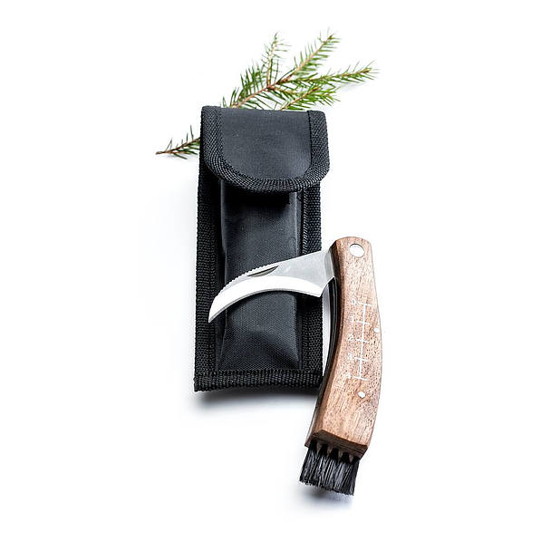 SAGAFORM Outdoor brązowy - nóż do grzybów ze stali nierdzewnej z etui