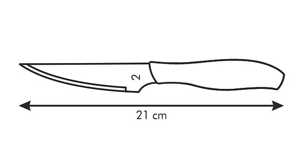 TESCOMA Sonic 10 cm 6 szt. - noże do steków ze stali nierdzewnej