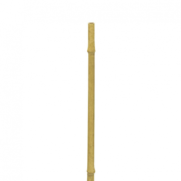 Podpórka do kwiatów i roślin bambusowa BAMBOO STAKES 120,5 cm