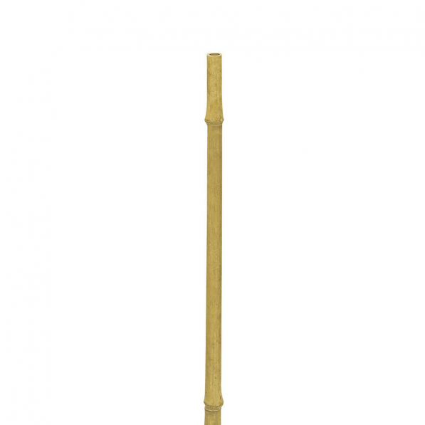 Podpórka do kwiatów i roślin bambusowa BAMBOO STAKES 120,5 cm