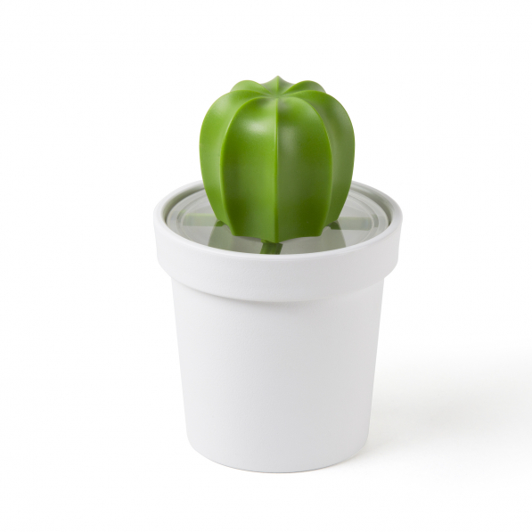 QUALY Cacnister biało-zielony - pojemnik na kawę plastikowy z łyżeczką 