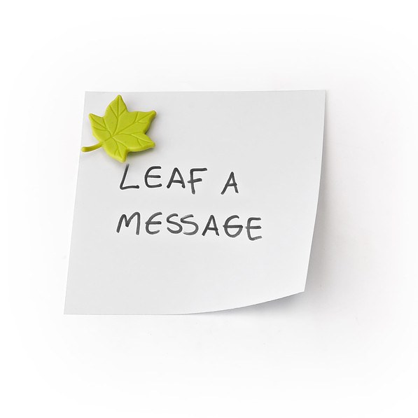 QUALY Leaf a Message 6 szt. wielokolorowe - magnesy na lodówkę plastikowe 