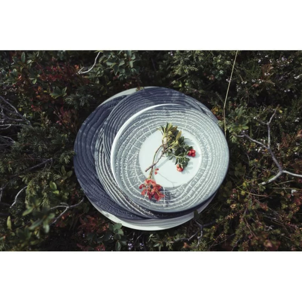 REVOL Arborescence 26 cm - talerz obiadowy płytki porcelanowy