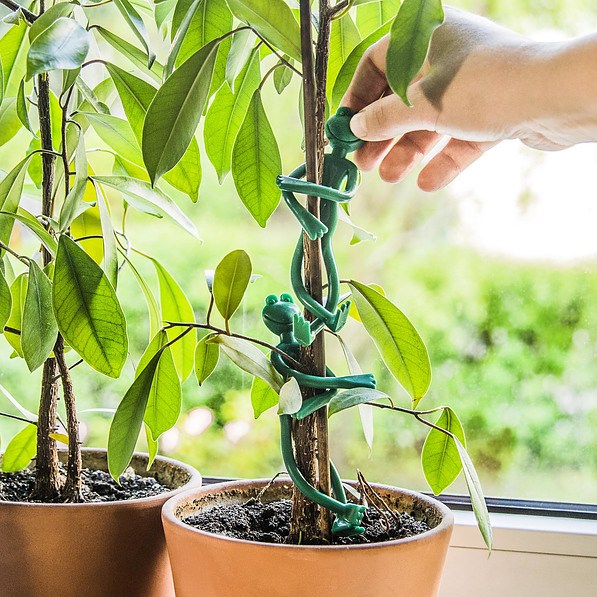 Spinki ogrodowe plastikowe ŻABKI ZIELONE 2 szt.