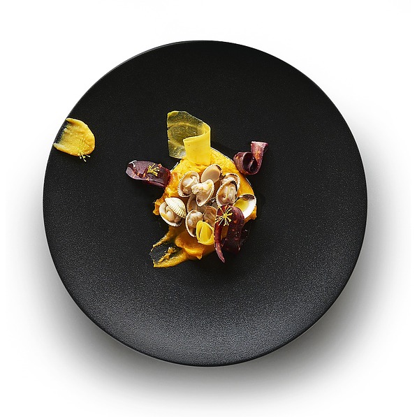 REVOL Equinoxe 24 cm czarny – talerz obiadowy płytki porcelanowy