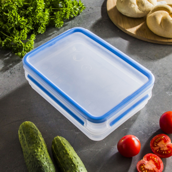 TEFAL Master Seal Fresh K3028812 1,2 l - pojemnik na wędliny i ser plastikowy dwupoziomowy