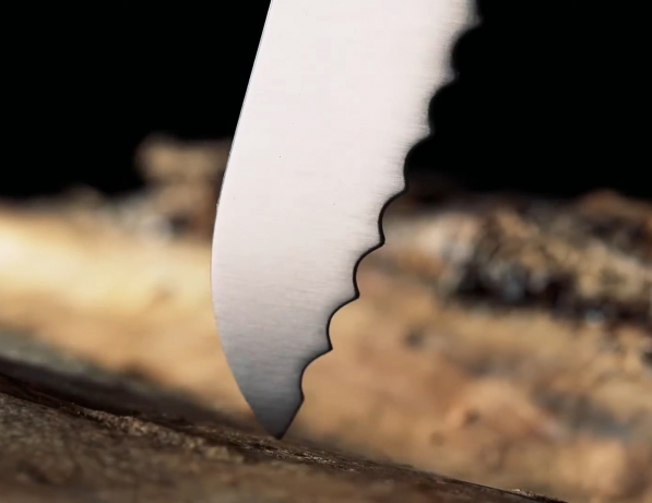TESCOMA Feelwood 21 cm jasnobrązowy - nóż do chleba ze stali nierdzewnej 