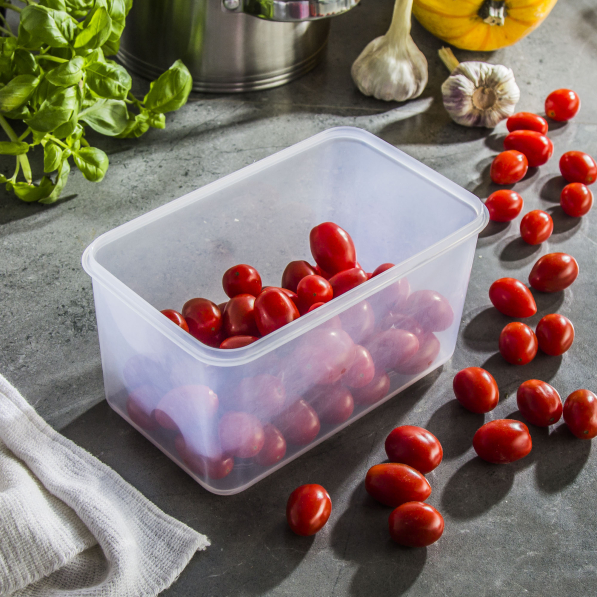 TESCOMA Freshbox Głęboki 1,6 l - pojemnik na żywność hermetyczny plastikowy