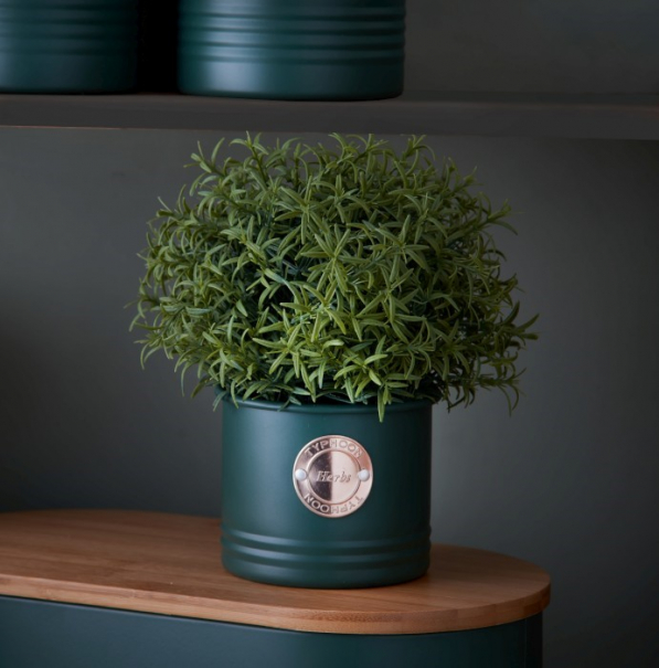 TYPHOON Living 10 cm - doniczka / osłonka na zioła ze stali węglowej