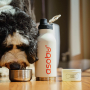 ASOBU The Asobu Buddy White 1 l - butelka na wodę termiczna ze stali nierdzewnej z miskami dla psa
