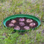 BIOOGRÓD 23 cm - koszyk do sadzenia cebul / tulipanów