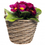 Doniczka / Osłonka na kwiaty wiklinowa FLOWER POT S 22 cm