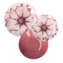 Komplet talerzy na 6 osób ROSE TULIPANI COSMEA 18 el.