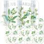 Mata stołowa / Podkładka na stół plastikowa dwustronna CALA HOME HERBS 43 x 28,5 cm