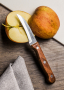 Nóż do obierania warzyw i owoców ze stali nierdzewnej FLORINA WOOD BENT 7 cm