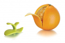 VACU VIN Citrus zielona - obieraczka / obierak do cytrusów plastikowa