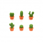 QUALY Cactus 6 szt. zielono-pomarańczowe - magnesy na lodówkę plastikowe