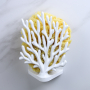 QUALY Coral biały - uchwyt na gąbkę plastikowy 