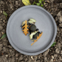 REVOL No.W 26 cm - talerz obiadowy płytki porcelanowy