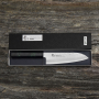SAKAI TAKAYUKI Nanairo Green 17 cm - nóż japoński Santoku ze stali damasceńskiej