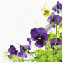 Serwetki papierowe dekoracyjne PANSIES FRAME 20 szt.