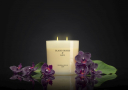 Świeca zapachowa sojowa w słoiku CERERIA MOLLA BOUTIQUE BLACK ORCHID AND LILY 600 g